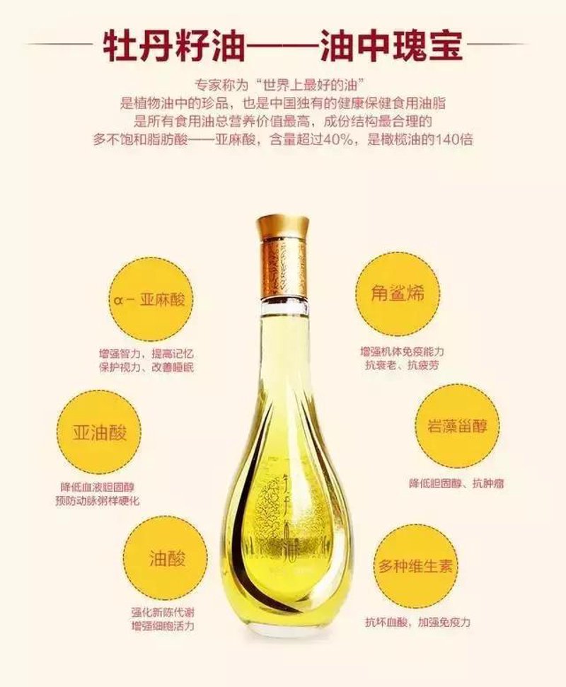 探索花卉行业新动态：聚焦牡丹苗批发